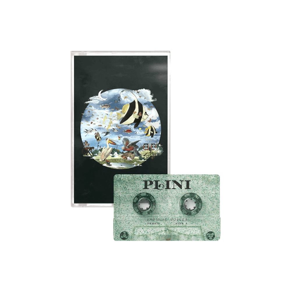 Impulse Voices Cassette