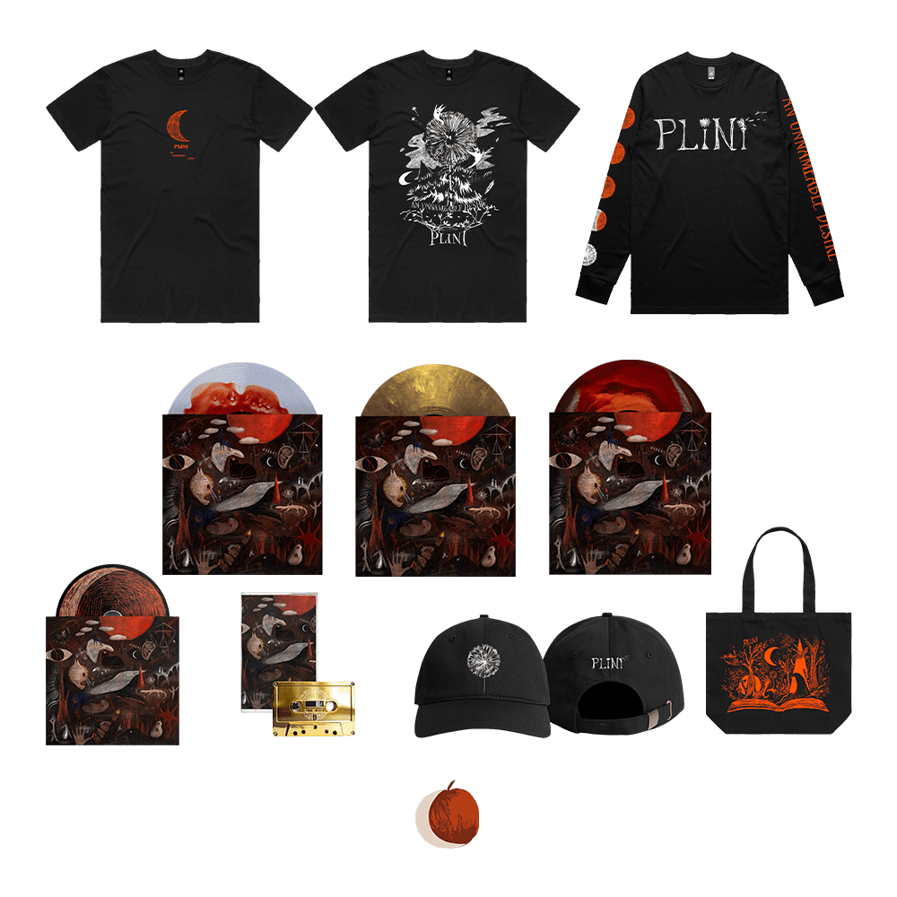 PLINI - Official Website & Merch Store – Plini