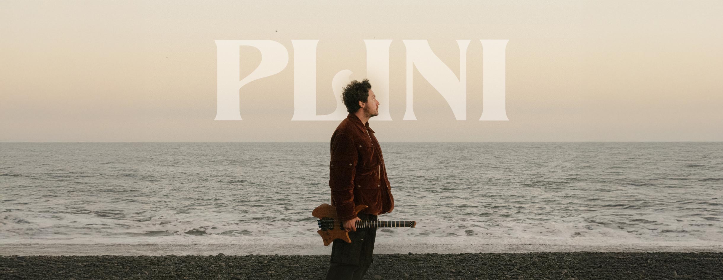 PLINI